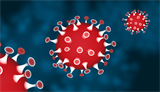 Bild Corona Virus